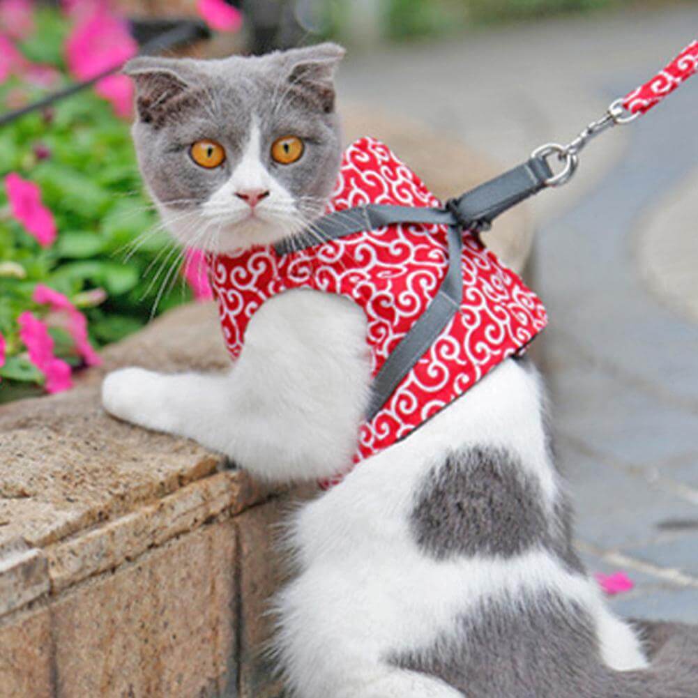 KittyComfort | Ausbruchsicheres Katzen-Geschirr-Set4