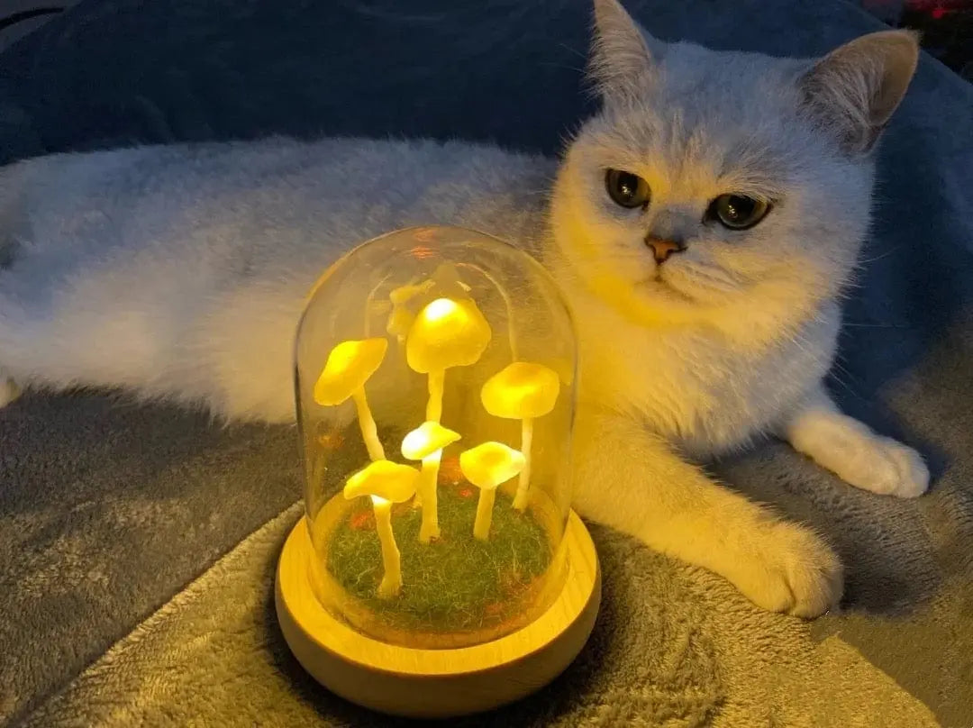 MycoGlow | Einzigartige Pilzlampe