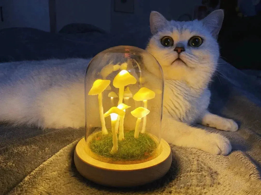 MycoGlow | Einzigartige Pilzlampe