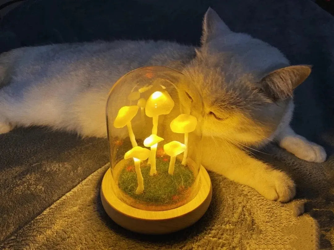 MycoGlow | Einzigartige Pilzlampe