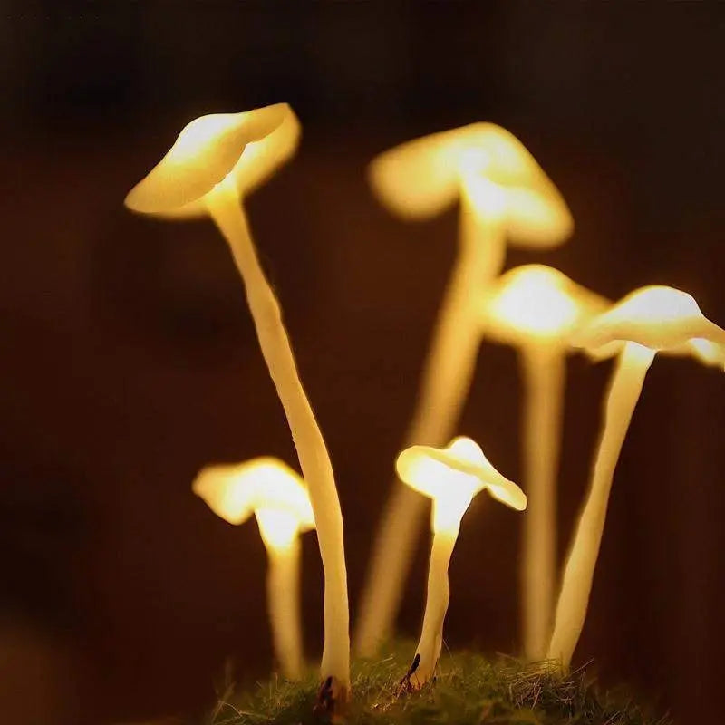 MycoGlow | Einzigartige Pilzlampe