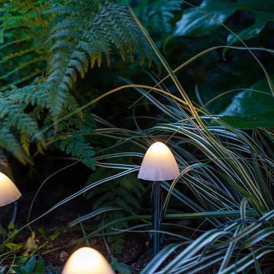 ShroomFest | Farbige LED-Pilze mit 8 Lichtmodi