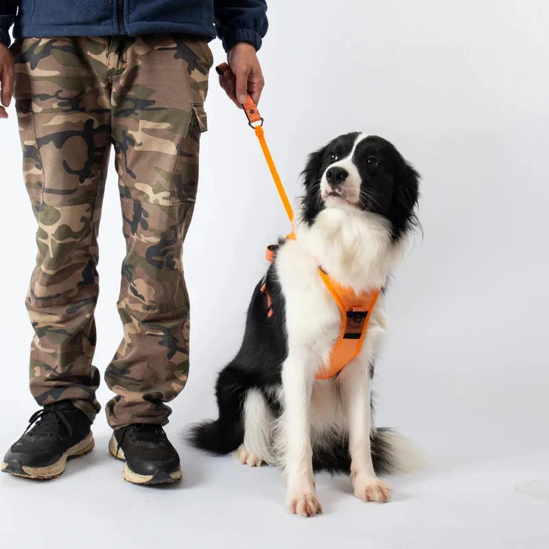 PawLink | Langlebige & Komfortable Hundeleine2