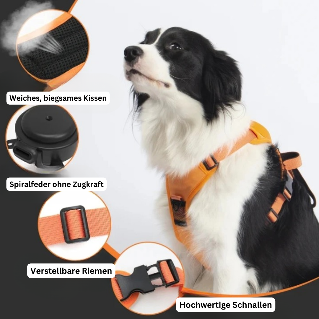 PawLink | Langlebige & Komfortable Hundeleine3