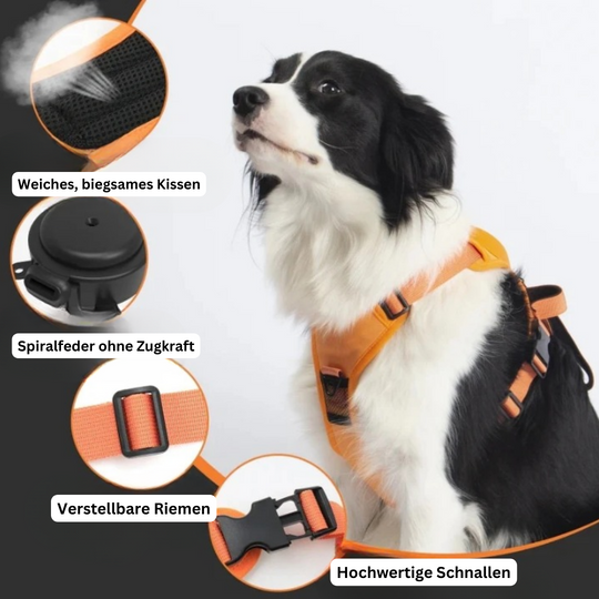 PawLink | Langlebige & Komfortable Hundeleine3