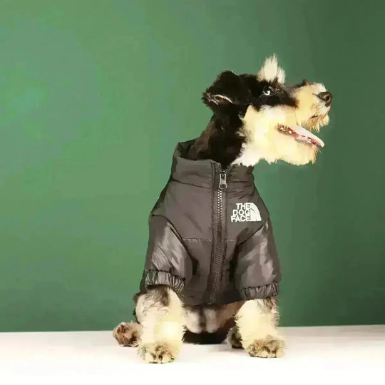 PawShield | Warme Hundejacke mit Komfort-Fit1
