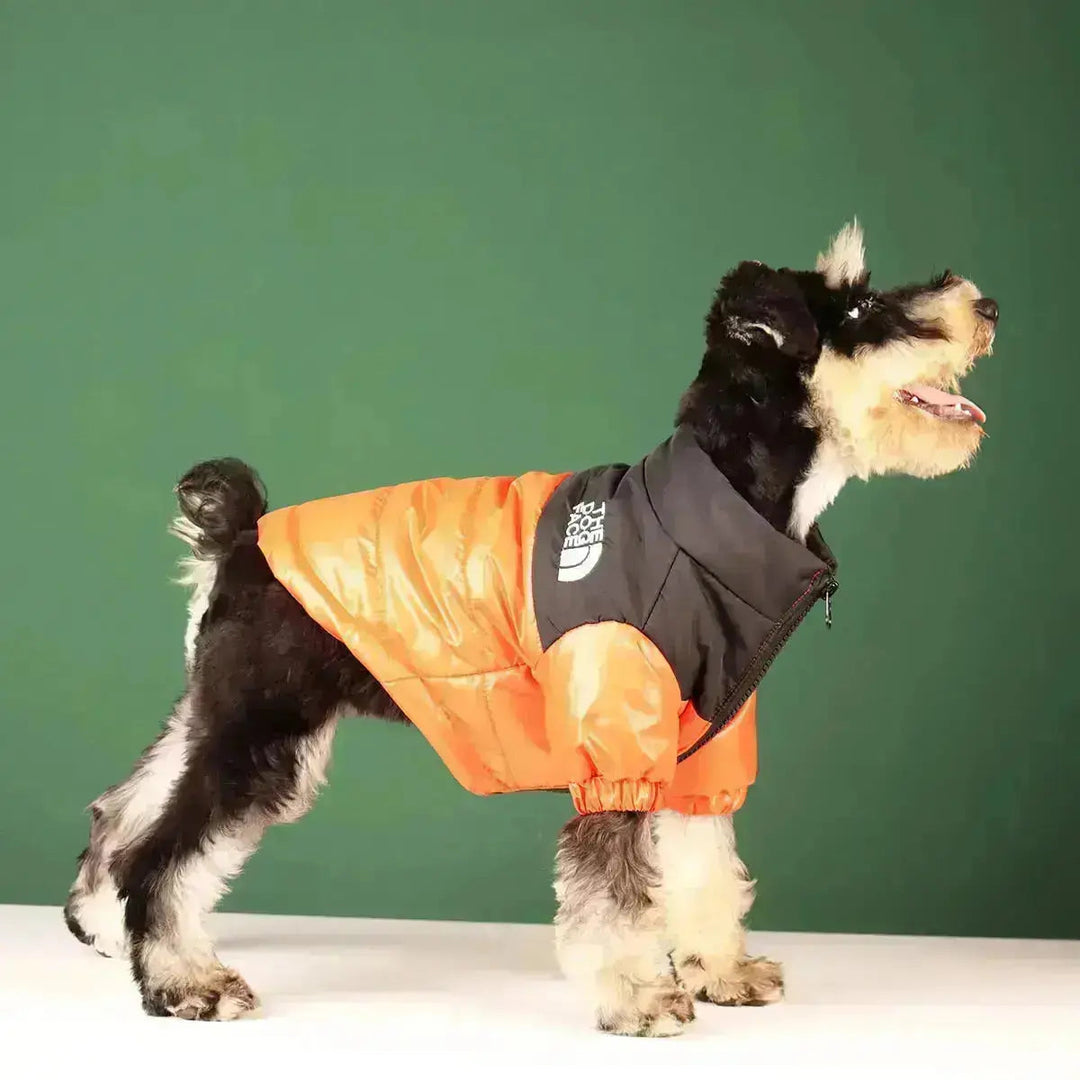 PawShield | Warme Hundejacke mit Komfort-Fit3