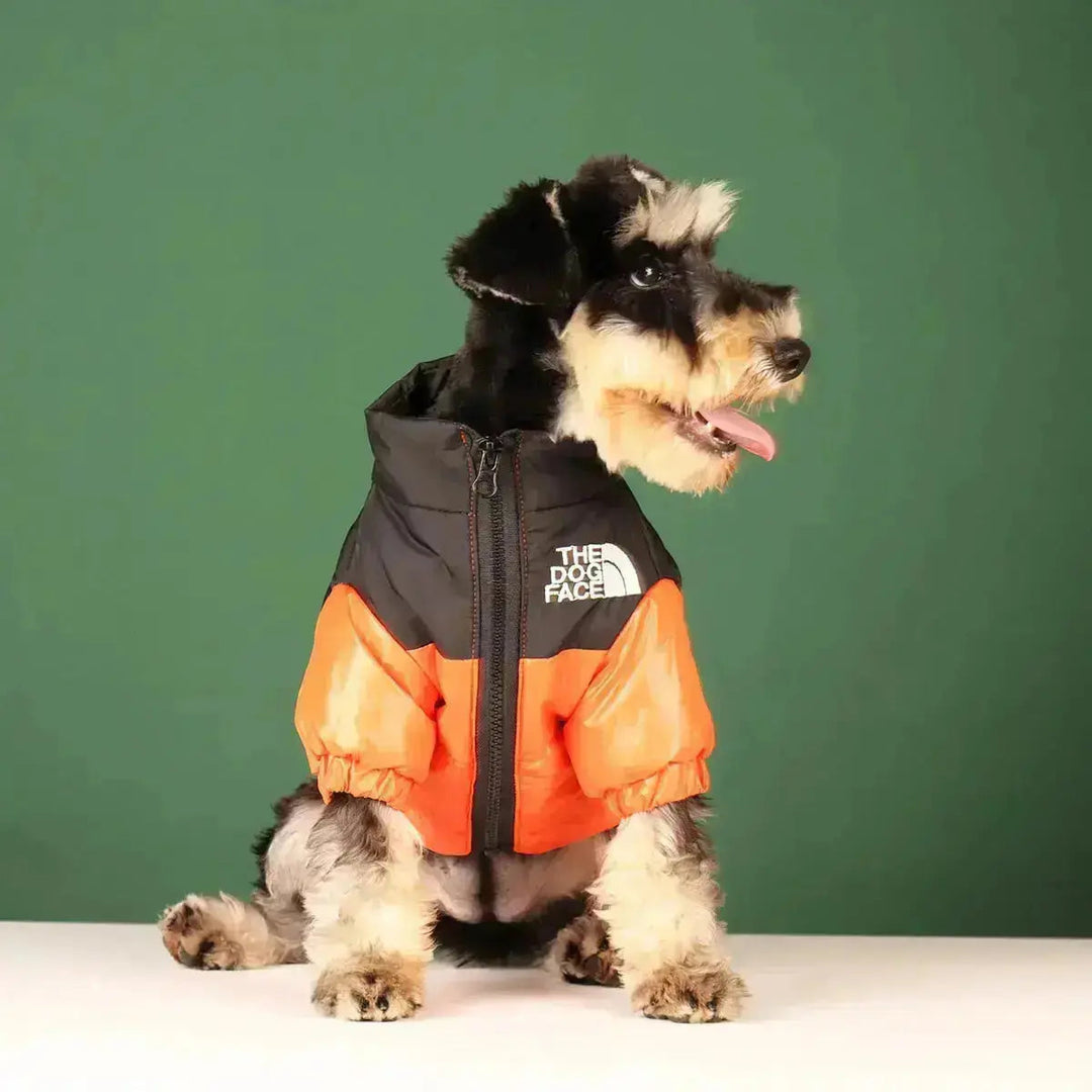 PawShield | Warme Hundejacke mit Komfort-Fit4