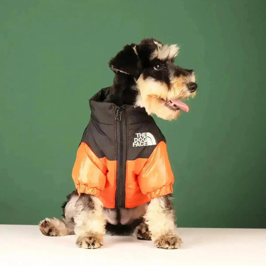 PawShield | Warme Hundejacke mit Komfort-Fit4