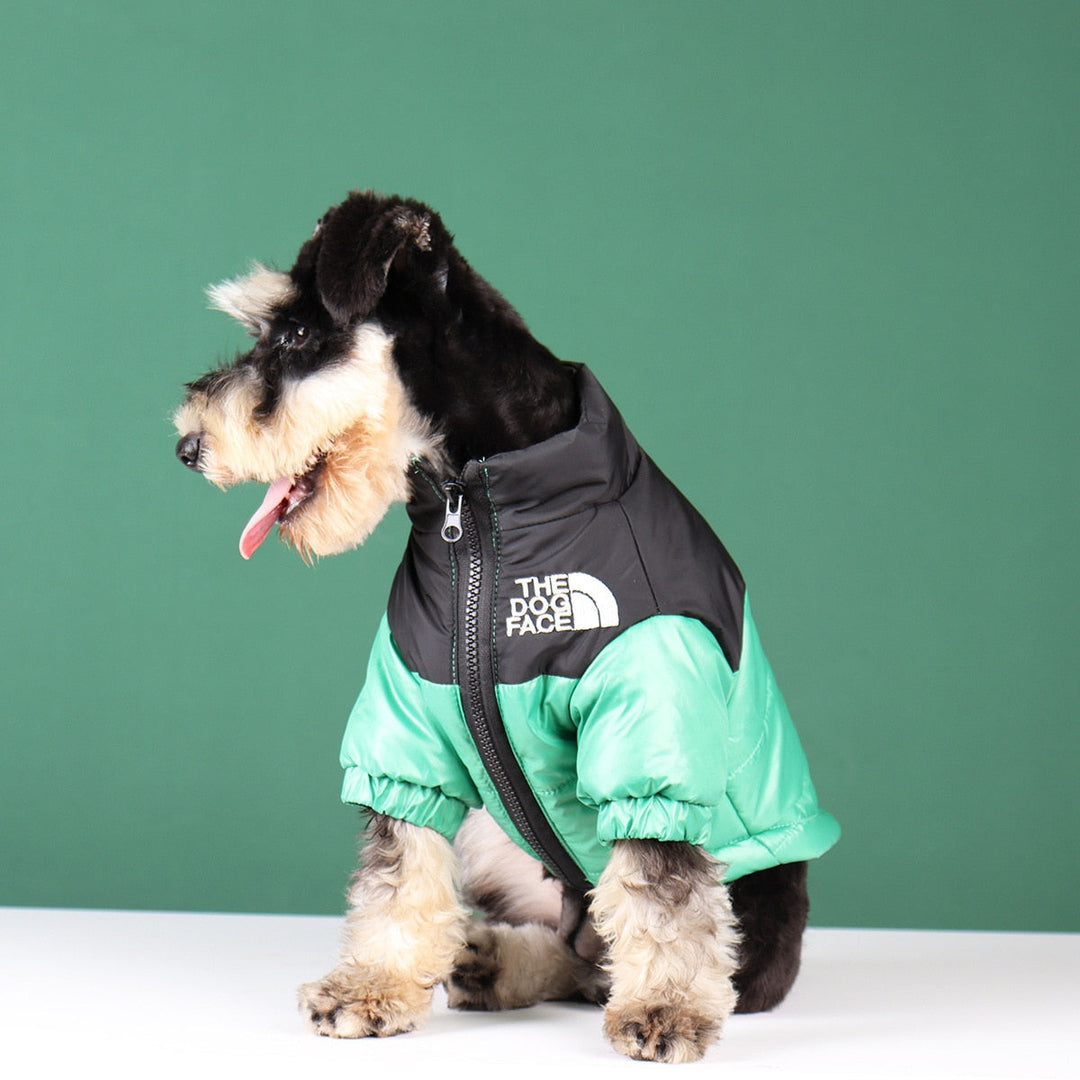 PawShield | Warme Hundejacke mit Komfort-Fit5