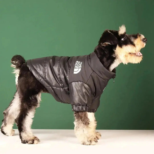 PawShield | Warme Hundejacke mit Komfort-Fit7