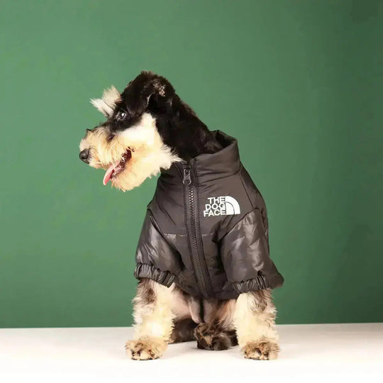 PawShield | Warme Hundejacke mit Komfort-Fit8