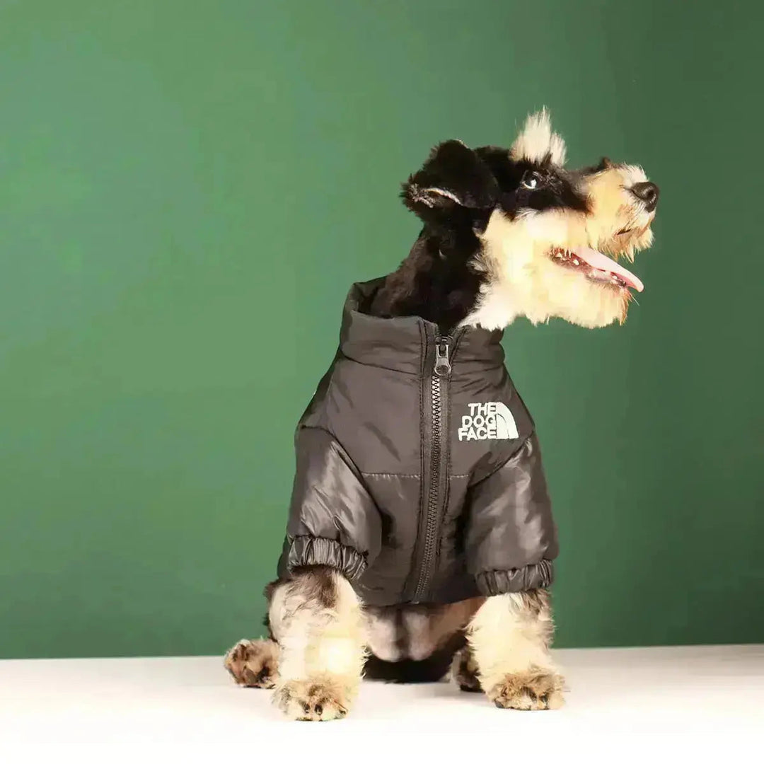 PawShield | Warme Hundejacke mit Komfort-Fit9