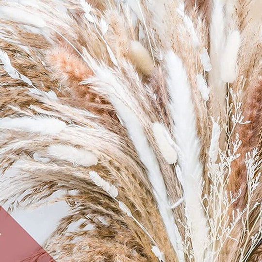 BohoPlume | 80PCS Natürlich Getrockneter Pampasgrasstrauß