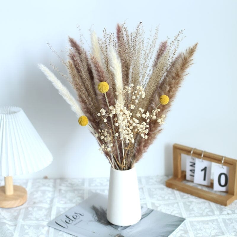 BohoPlume | 80PCS Natürlich Getrockneter Pampasgrasstrauß