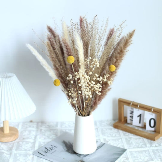 BohoPlume | 80PCS Natürlich Getrockneter Pampasgrasstrauß