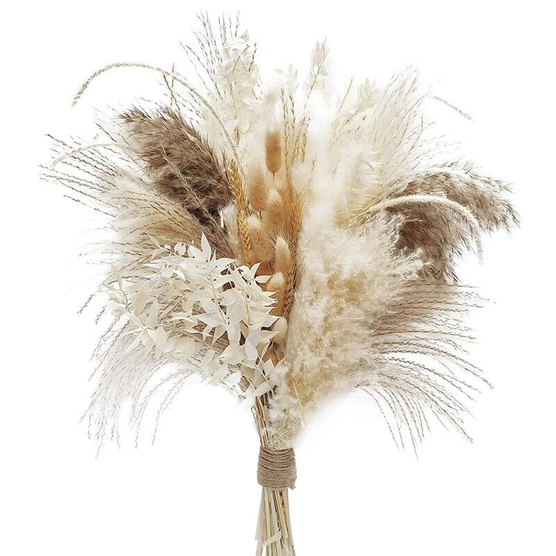 BohoPlume | 80PCS Natürlich Getrockneter Pampasgrasstrauß