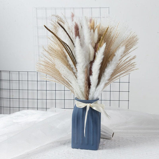 BohoPlume | 80PCS Natürlich Getrockneter Pampasgrasstrauß