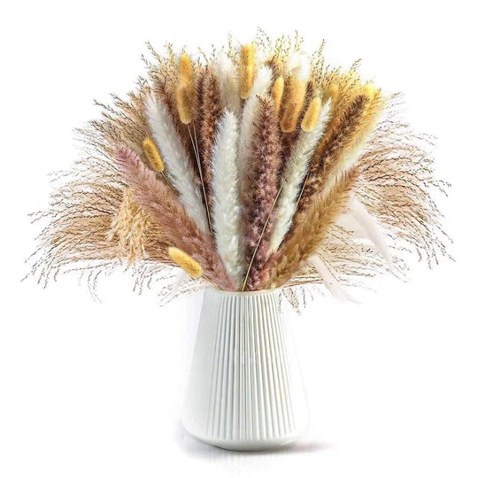 BohoPlume | 80PCS Natürlich Getrockneter Pampasgrasstrauß