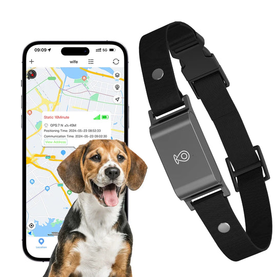 PawGuardian | Wasserdichtes GPS-Halsband für Hunde & Katzen