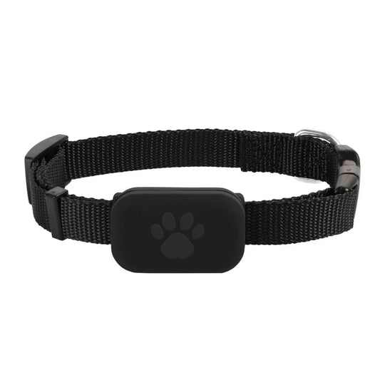 FurryFind | Anti-Verlust-Tracker für kleine Haustiere