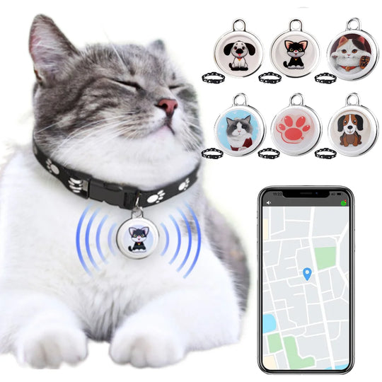 GeoPaw | Smarter Tier-Tracker mit globaler Ortung