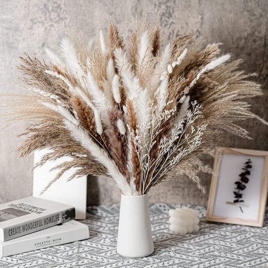 BohoPlume | 80PCS Natürlich Getrockneter Pampasgrasstrauß