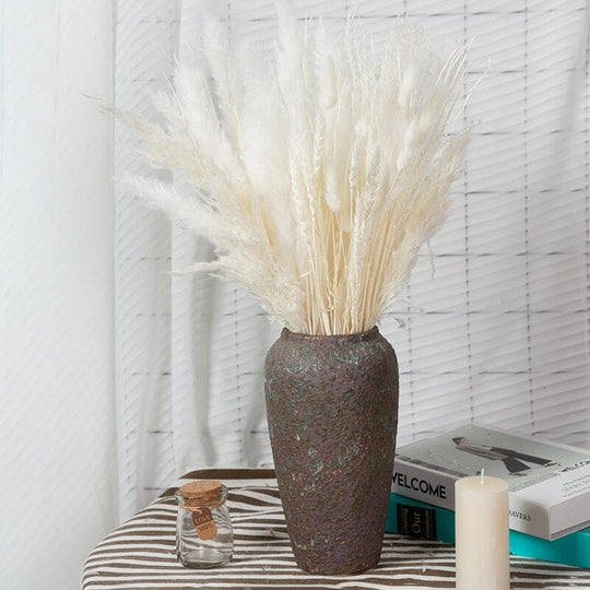 BohoPlume | 80PCS Natürlich Getrockneter Pampasgrasstrauß