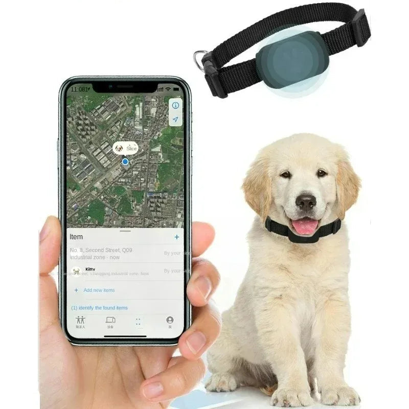 FurryFind | Anti-Verlust-Tracker für kleine Haustiere