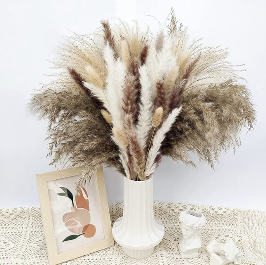 BohoPlume | 80PCS Natürlich Getrockneter Pampasgrasstrauß