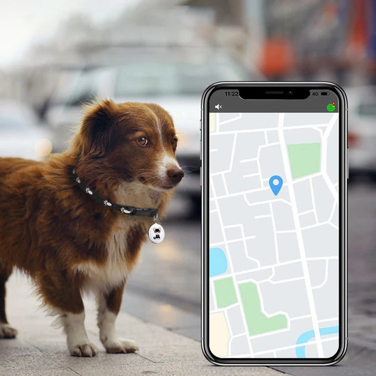 GeoPaw | Smarter Tier-Tracker mit globaler Ortung