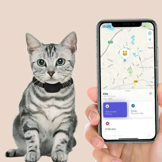 FurryFind | Anti-Verlust-Tracker für kleine Haustiere