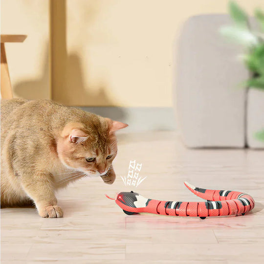SnakePlay | Interaktives Katzenspielzeug1
