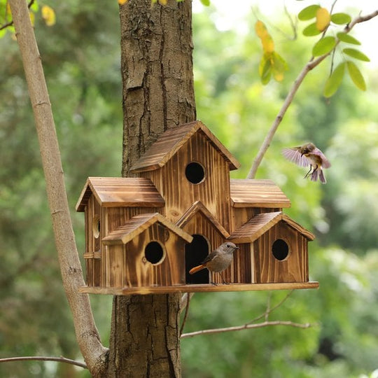 SongbirdHaven | Gemütliches und stilvolles Vogelhaus5