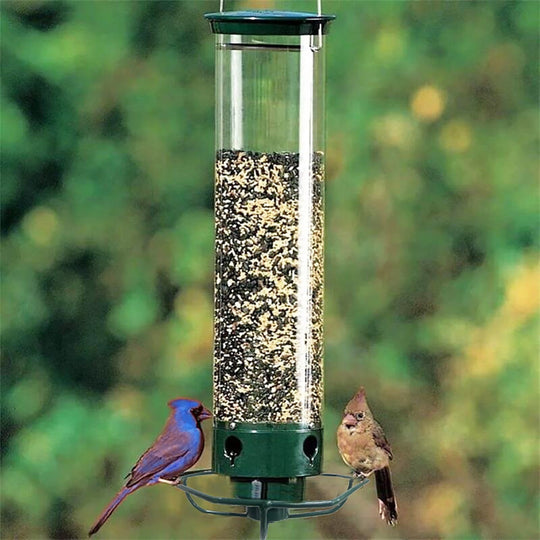 BirdSafe | Austernsicherer Vogelfutterspender