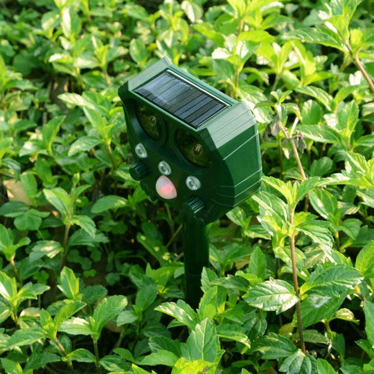 UltraSonic | Repellent Ultraschall und Lärm Sonar Abschreckung für Katze, Fuchs, Ratte, Eichhörnchen und Hund