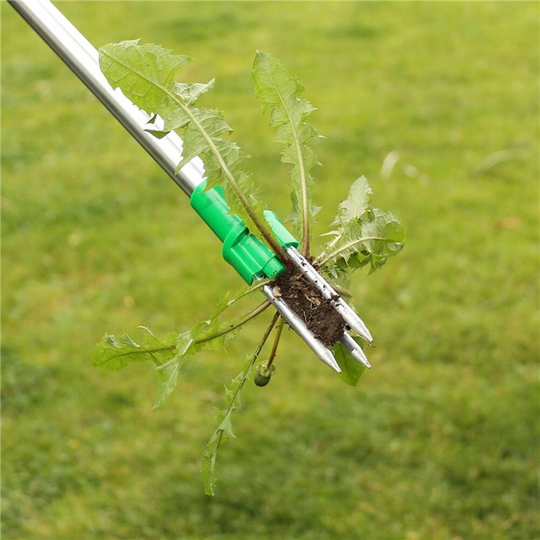 WeedPull | Rückenschonender Unkrautentferner1