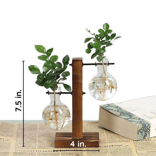 RootFrame | Holzrahmen Hydroponische Pflanzenvase