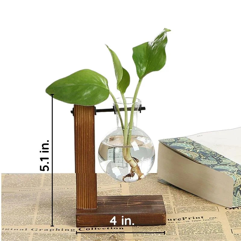 RootFrame | Holzrahmen Hydroponische Pflanzenvase