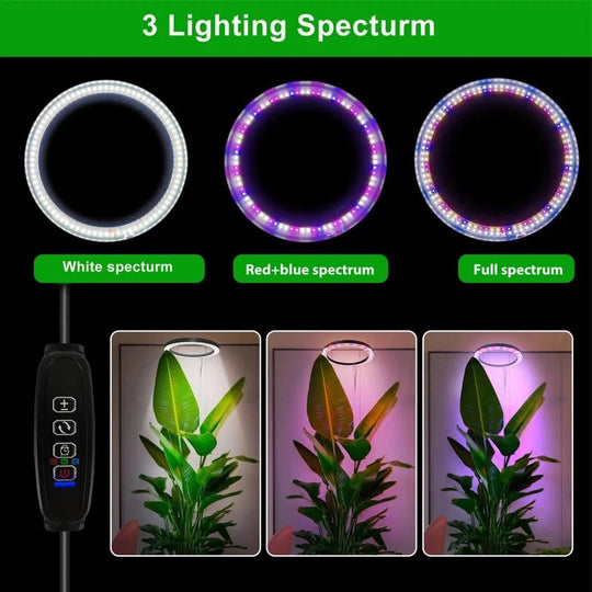 PlantLuxe | Wachstumslicht für Zimmerpflanzen
