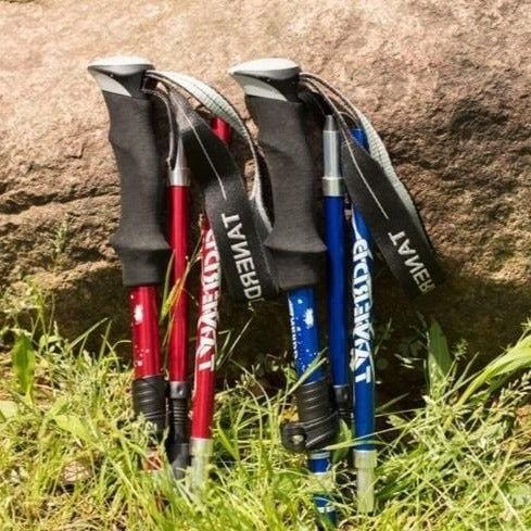 HikePro | Verstellbarer Trekkingstock für jedes Gelände