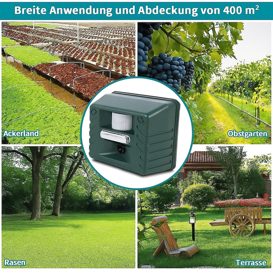 AeroSafe | Ultraschall-Specht-Vertreiber Decorique.de