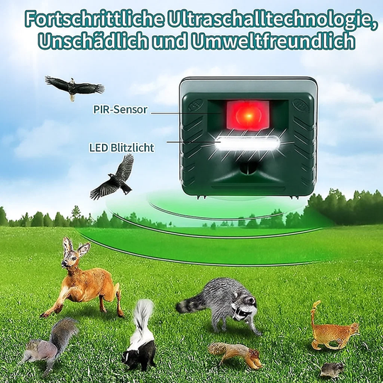 AeroSafe | Ultraschall-Specht-Vertreiber Decorique.de