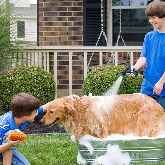 AquaStretch | 2025 50Ft/100Ft erweiterbarer Gartenschlauch Decorique.de