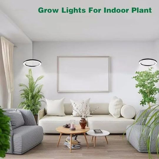 PlantLuxe | Wachstumslicht für Zimmerpflanzen