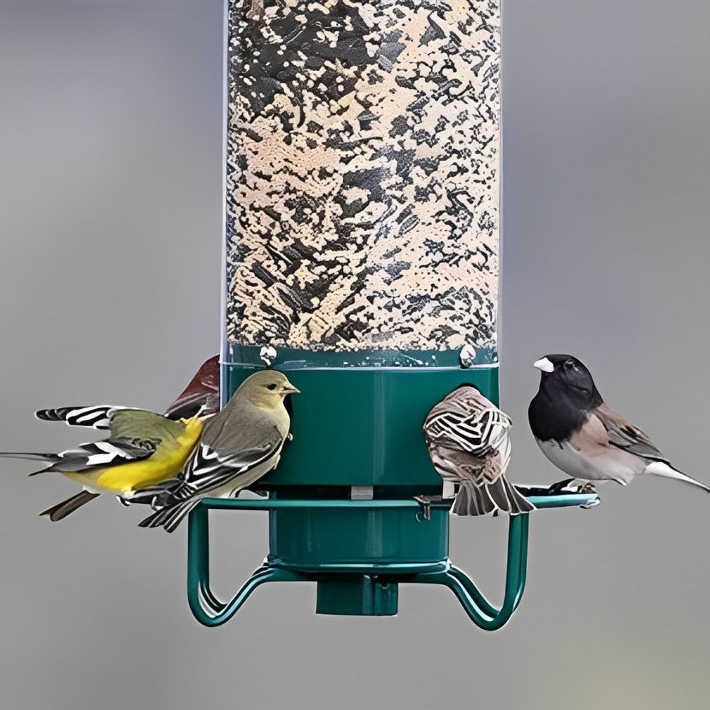 FeatherGuard | Eichhörnchen-sichere Vogelfutterstation