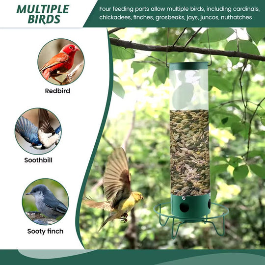 BirdSafe | Austernsicherer Vogelfutterspender Decorique.de