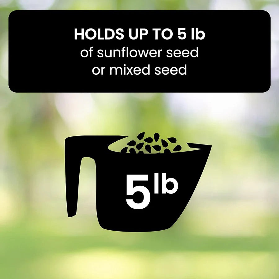 BirdSafe | Austernsicherer Vogelfutterspender Decorique.de