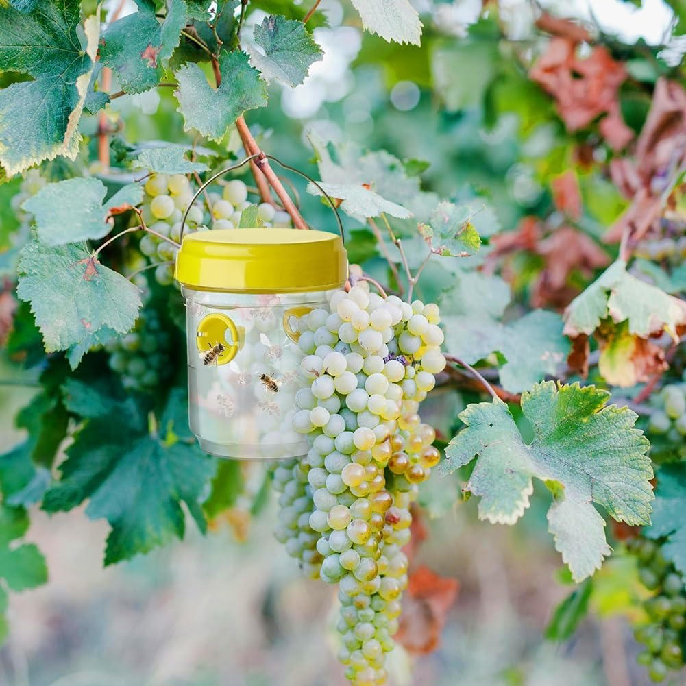 BugTrap | Insekten-Fruchtfliegenfallen Decorique.de