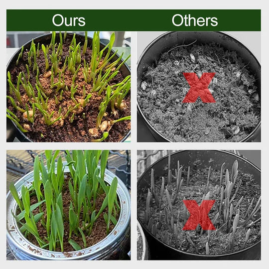 EcoGrow | Bio-Kokosnussfaser für Pflanzen
